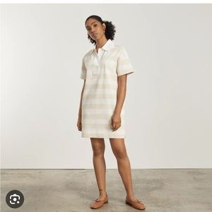 Everlane The Orgsnic cotton Polo Dress in Bone
